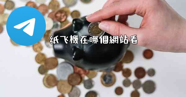 纸飞機在哪個網站看