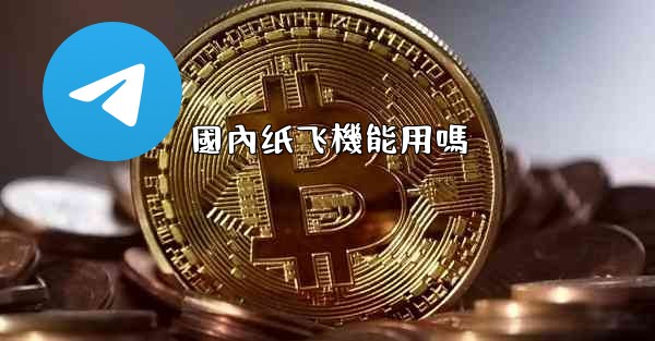 國內纸飞機能用嗎