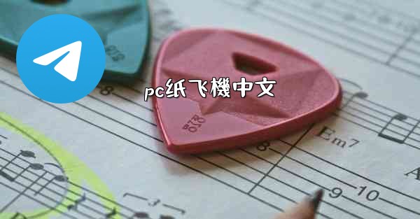 pc纸飞機中文