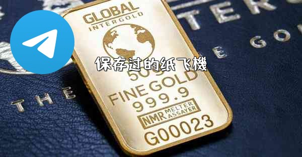 保存过的纸飞機