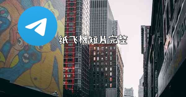 纸飞機短片完整