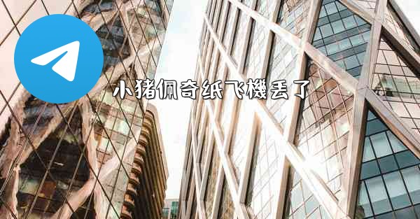 小猪佩奇纸飞機丢了