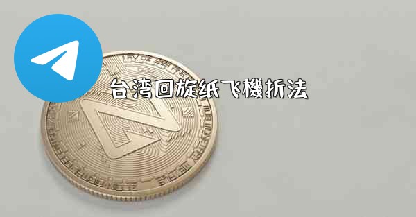 <b>台湾回旋纸飞機折法</b>