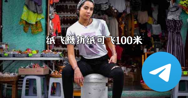 <b>纸飞機折纸可飞100米</b>