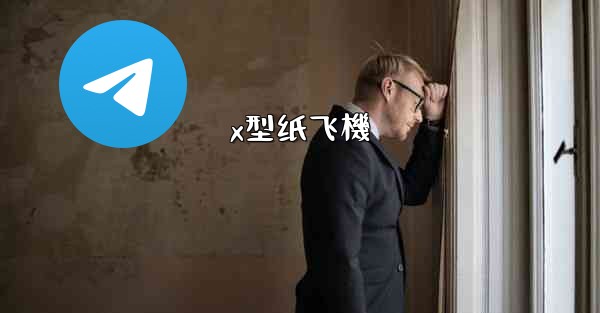 <b>x型纸飞機</b>