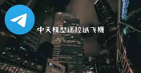 中天模型遥控纸飞機