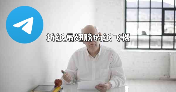 <b>折纸扇翅膀的纸飞機</b>