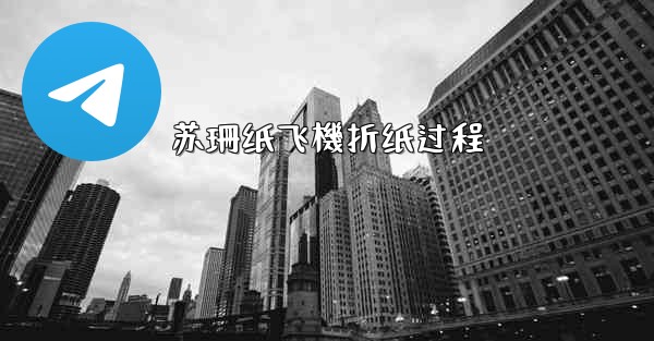 <b>苏珊纸飞機折纸过程</b>