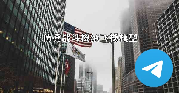 仿真战斗機纸飞機模型