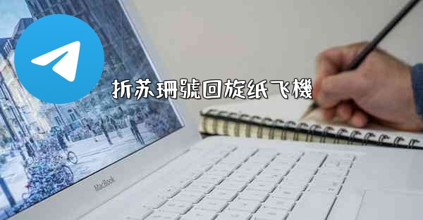 折苏珊號回旋纸飞機