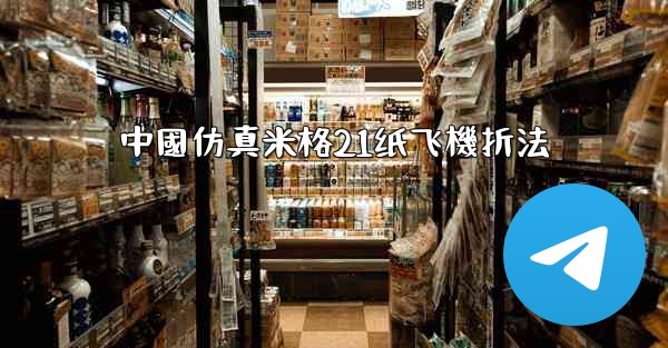 中國仿真米格21纸飞機折法