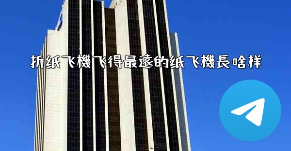 折纸飞機飞得最遠的纸飞機長啥样