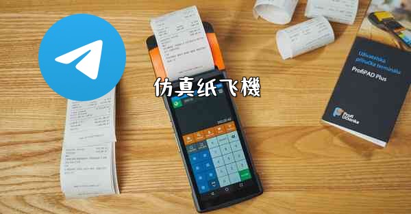 <b>仿真纸飞機</b>