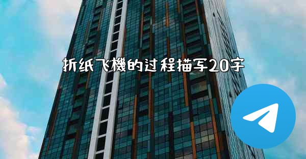 折纸飞機的过程描写20字