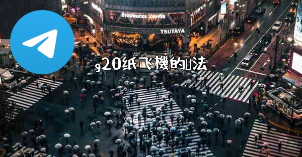 g20纸飞機的叠法