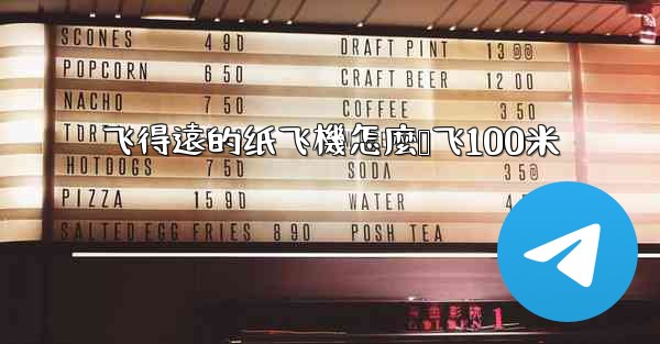 <b>飞得遠的纸飞機怎麼叠飞100米</b>