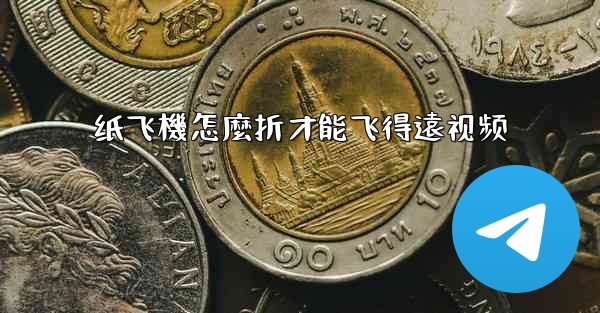 <b>纸飞機怎麼折才能飞得遠视频</b>