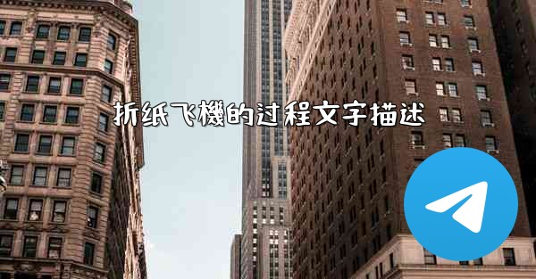 <b>折纸飞機的过程文字描述</b>