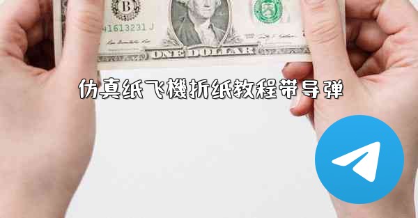 <b>仿真纸飞機折纸教程带导弹</b>