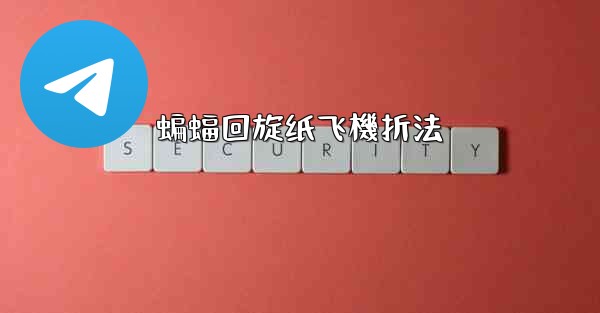 蝙蝠回旋纸飞機折法