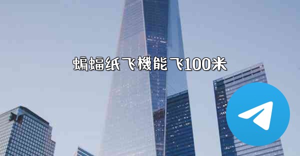 蝙蝠纸飞機能飞100米