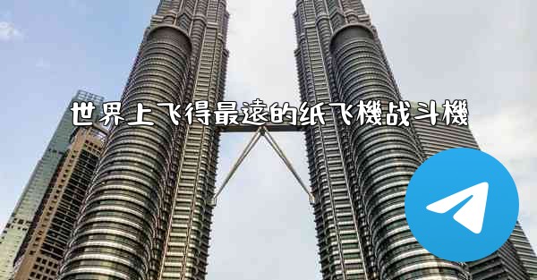 <b>世界上飞得最遠的纸飞機战斗機</b>