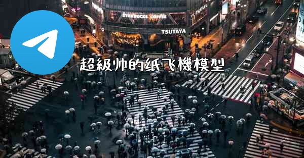 <b>超級帅的纸飞機模型</b>