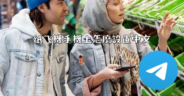 纸飞機手機上怎麼設置中文