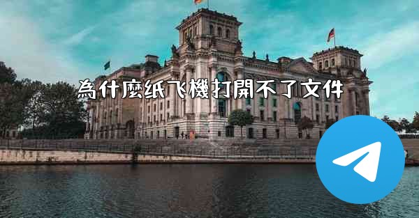 為什麼纸飞機打開不了文件