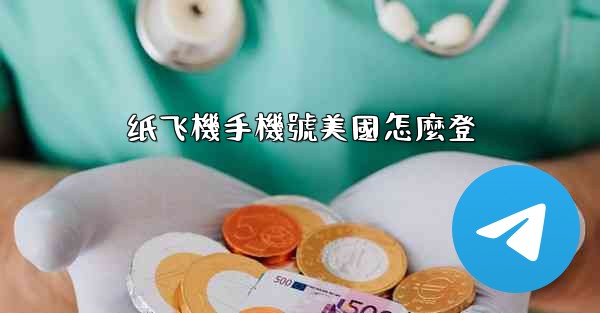 纸飞機手機號美國怎麼登