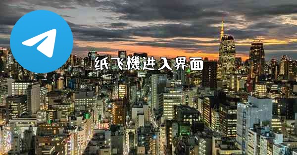 纸飞機进入界面