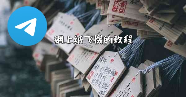 網上纸飞機的教程