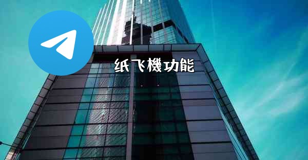 纸飞機功能