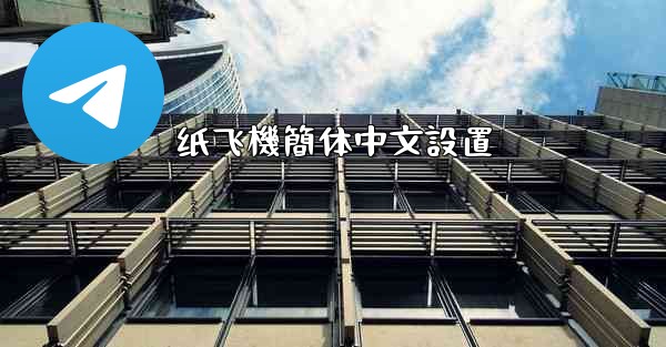 纸飞機簡体中文設置