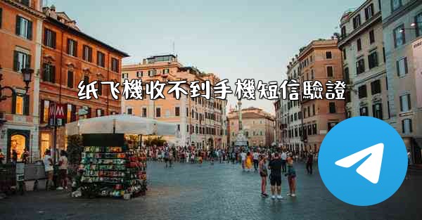 纸飞機收不到手機短信驗證