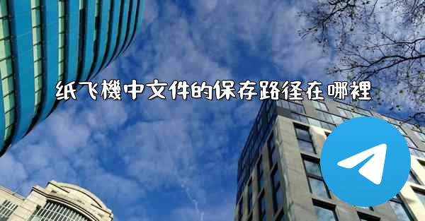 纸飞機中文件的保存路径在哪裡