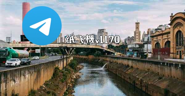 <b>纸飞機v1170</b>
