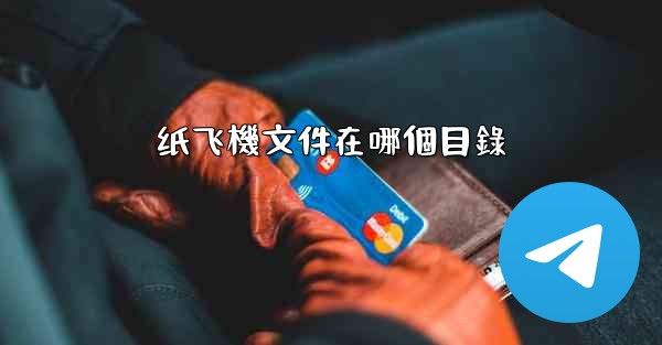 纸飞機文件在哪個目錄