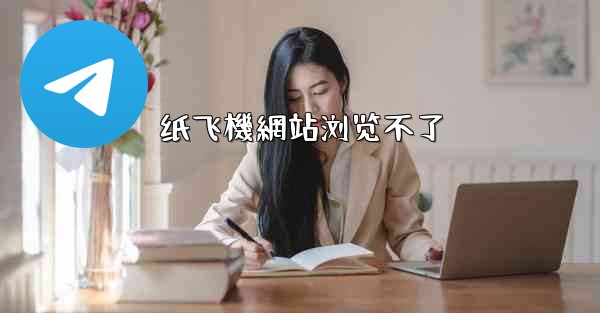 纸飞機網站浏览不了