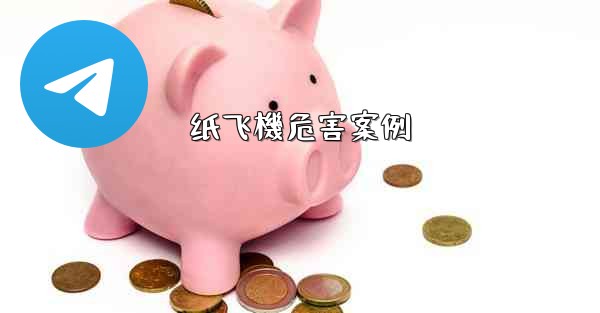 纸飞機危害案例