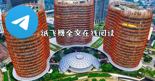 纸飞機全文在线阅读