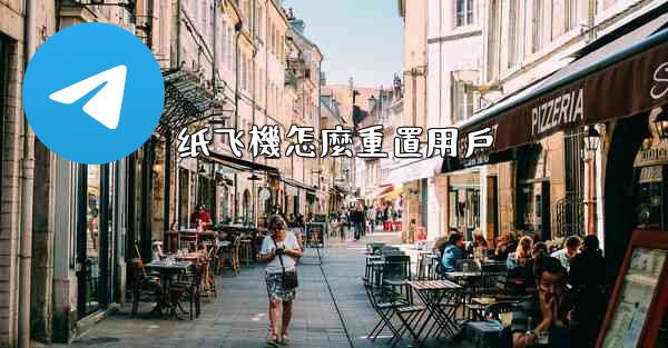 纸飞機怎麼重置用戶