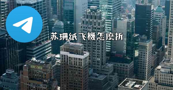 苏珊纸飞機怎麼折