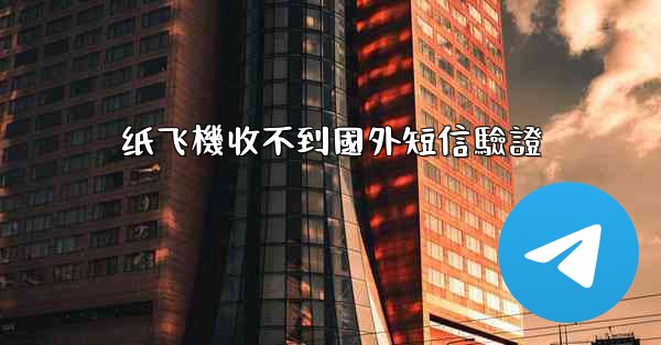 纸飞機收不到國外短信驗證