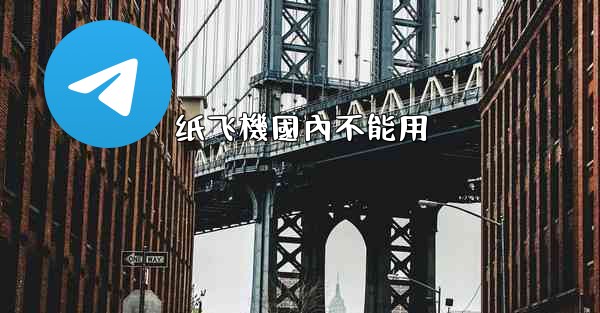 纸飞機國內不能用