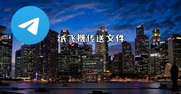 纸飞機传送文件