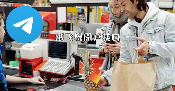 纸飞機開戶接口