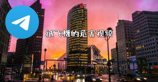 纸飞機的危害视频