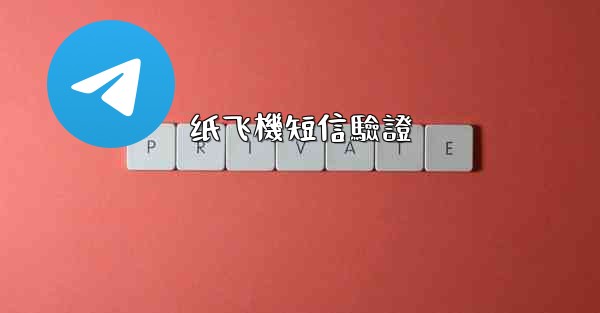 纸飞機短信驗證