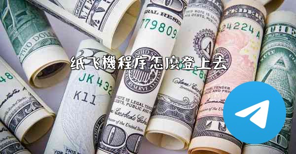 纸飞機程序怎麼登上去